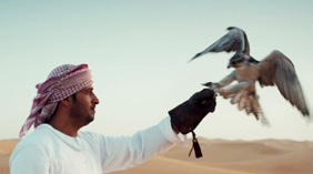 Introduction to Tourism